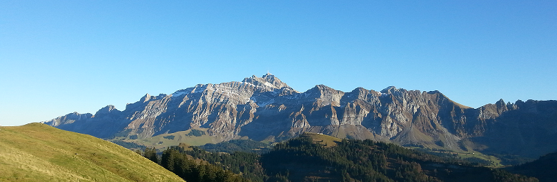 Schüsslersalzwissen von Hebammen